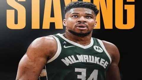 kaiyun·开云（中国）